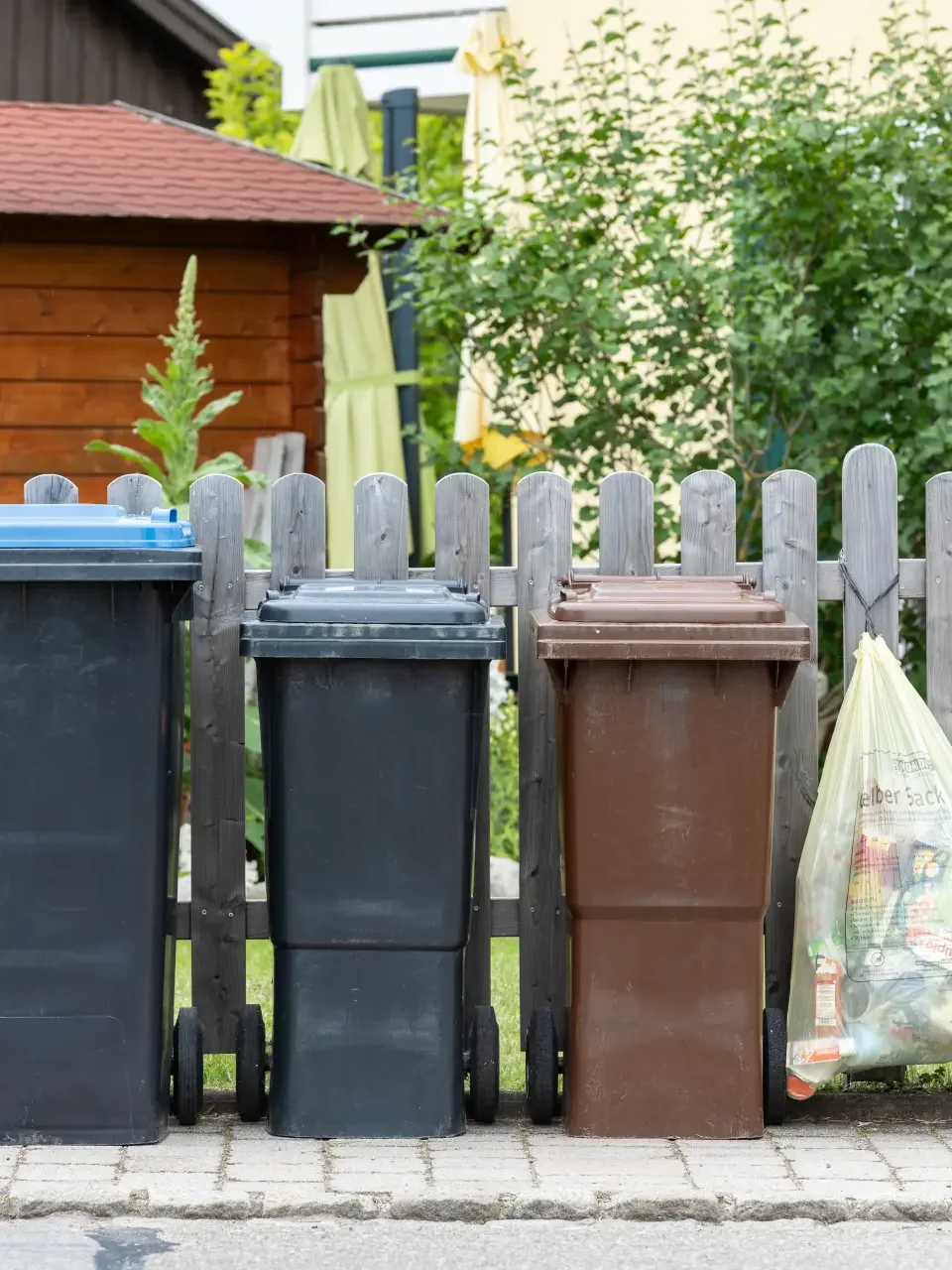 Drei Mülltonnen und gelber Sack vor Gartenzaun