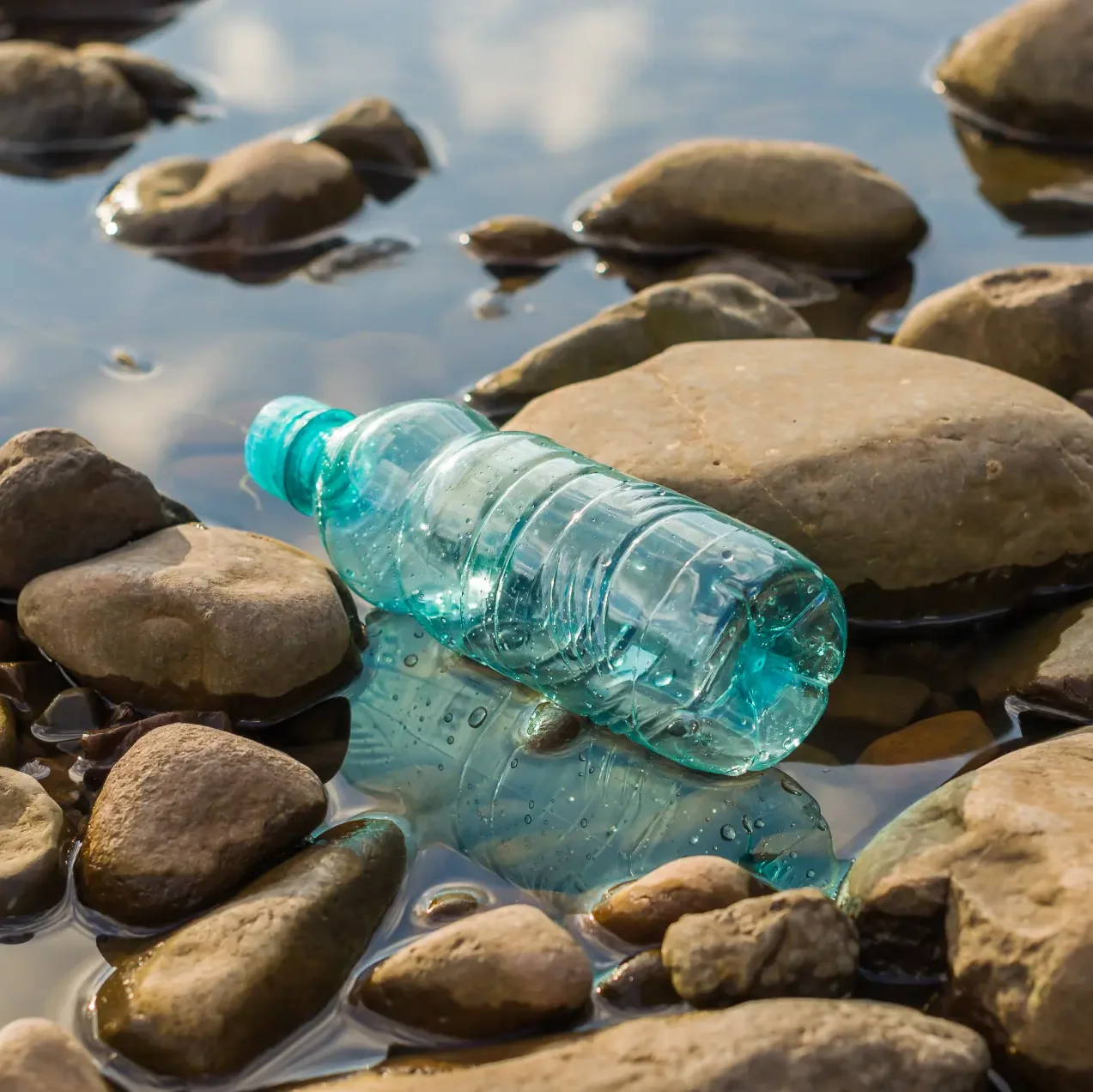 Plastikflasche am Seeufer